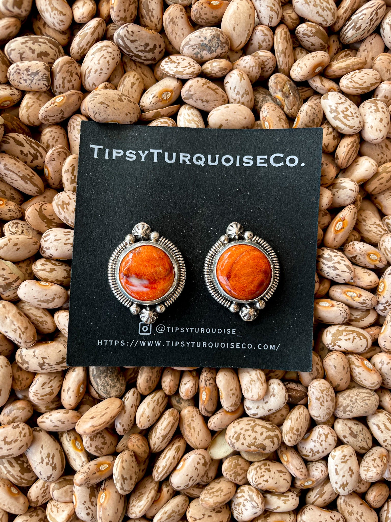 Orange Spiny Oyster Studs